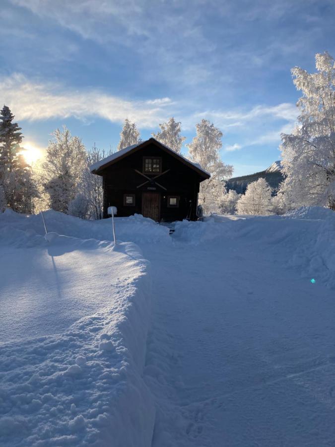 Valagardens Vaerdshus Och Camping Ab Valadalen Ngoại thất bức ảnh